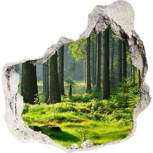Díra 3D ve zdi nálepka Smrekový les nd-p-124579847