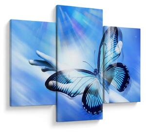 Obraz - Motýľ, symbol nádeje (90x60 cm)