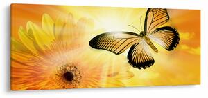 Obraz - Žltý motýľ s kvetom (120x50 cm)