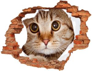 Nálepka 3D diera na stenu Mačka nd-c-35664648