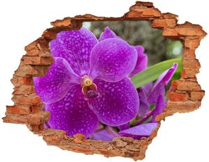 Samolepiaca nálepka Orchidea nd-c-64607986