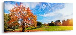 Obraz - Jesenná krajina (120x50 cm)