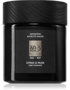 Vila Hermanos Apothecary Japanese Rest vonná sviečka 150 g