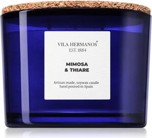 Vila Hermanos Apothecary Cobalt Blue Mimosa & Thiare vonná sviečka 350 g