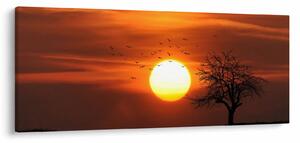 Obraz - Západ slnka (120x50 cm)