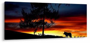 Obraz - Silueta vlka (120x50 cm)