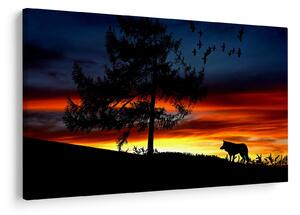 Obraz - Silueta vlka (90x60 cm)