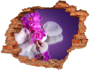Nálepka 3D diera na stenu Orchidea nd-c-95985496