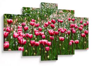 Obraz tulipánov (150x105 cm)