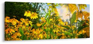 Obraz žltých kvetov (120x50 cm)