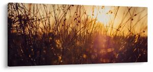 Obraz poľa pri západe slnka (120x50 cm)