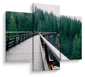 Obraz - Most k vrcholkom stromov (90x60 cm)