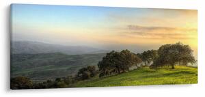 Obraz - Výhľad z kopca (120x50 cm)