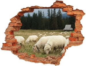 Fototapeta diera na stenu Pasúce sa ovce nd-c-197671747