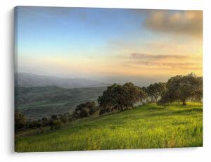 Obraz - Výhľad z kopca (70x50 cm)