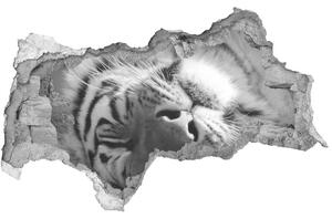 Diera 3D fototapeta nálepka Spiace tiger nd-b-125000206