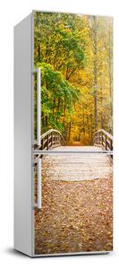 Nálepka fototapety na chladničku Jesenný les