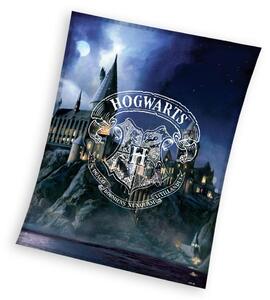 DETSKÁ FLEECOVÁ DEKA HARRY POTTER 130X170 CM VZOROVANÁ