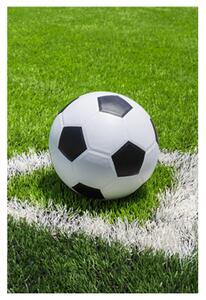 DETSKÁ FLEECOVÁ DEKA FOOTBALL 100X150 CM VZOROVANÁ