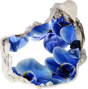Samolepiaca diera na stenu Modrá orchidea nd-p-108719239