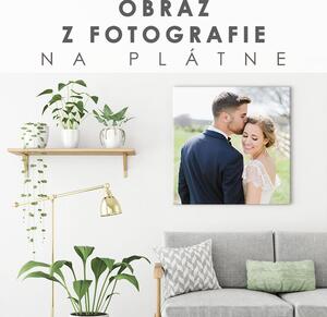 Obraz z fotografie - ŠTVOREC- rôzne rozmery (fotoobrazy)