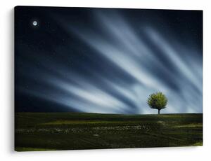 Obraz polárna žiara nad vresoviskom (70x50 cm)