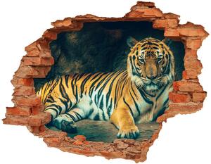Nálepka 3D diera na stenu Tiger cave nd-c-121530926
