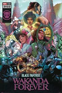 Plagát, Obraz - Black Panther: Wakanda Forever, (61 x 91.5 cm)