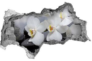 Samolepiaca nálepka fototapeta Orchidea nd-b-144310520