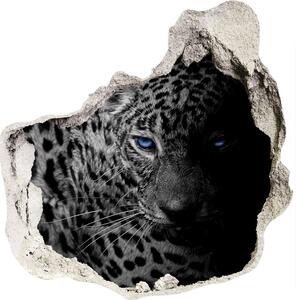 Fototapeta diera na stenu Leopard nd-p-89549218