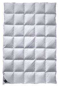 CELOROČNÁ PRIKRÝVKA, 135/200 cm, Billerbeck - Prikrývky & vankúše