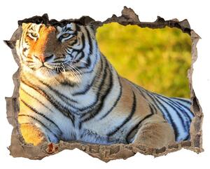 Díra 3D fototapeta nálepka Portrét tigra nd-k-65114965