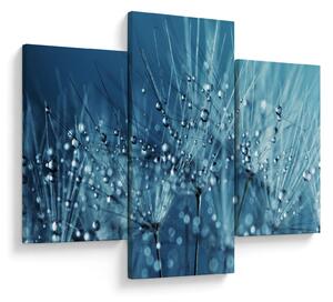 Obraz - Kvapky rosy (90x60 cm)