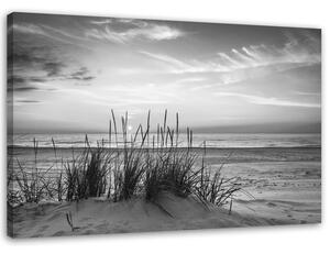 Obraz na plátne Trávy na pláži - čiernobiely Rozmery: 60 x 40 cm