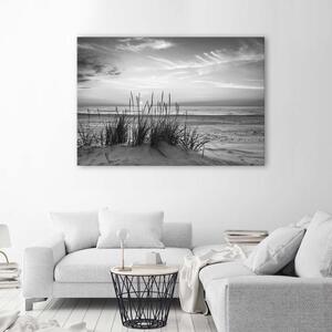 Obraz na plátne Trávy na pláži - čiernobiely Rozmery: 60 x 40 cm