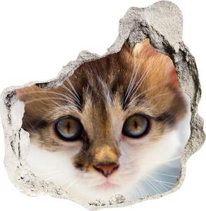 Fototapeta diera na stenu 3D Malá mačka nálepka
