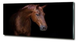 Foto-obraz sklo tvrdené Hnedý kôň