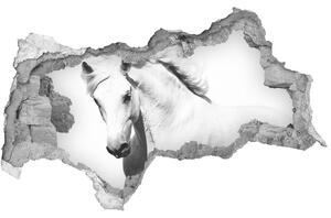 Fototapeta diera na stenu Biely kôň nd-b-14270832