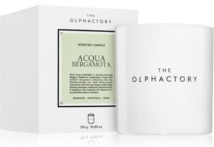 The Olphactory White Insignia Acqua Bergamota vonná sviečka 310 g