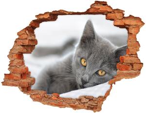 Nálepka 3D diera na stenu Sivá mačka nd-c-43951156