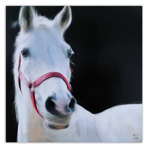 Obraz na plátne Hlava bieleho koňa Rozmery: 30 x 30 cm