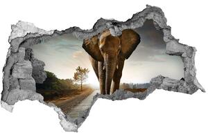 Diera 3D fototapeta na stenu Walking slon nd-b-25742331