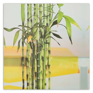 Obraz na plátne Niektoré zelené bambusy Rozmery: 30 x 30 cm