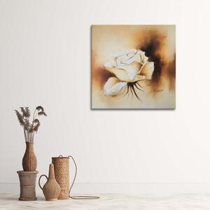 Obraz na plátne Ako ručne maľovaná biela ruža Rozmery: 30 x 30 cm