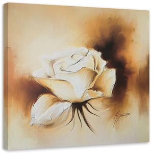 Gario Obraz Ako ručne maľovaná biela ruža Veľkosť: 30 x 30 cm, Prevedenie: Obraz na plátne