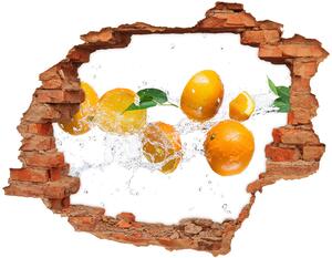 Fototapeta diera na stenu 3D Pomaranče a vodu nd-c-63072139