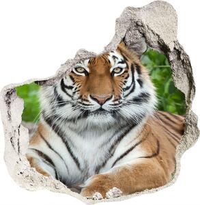 Diera 3D foto tapeta nálepka Tiger ussurijský