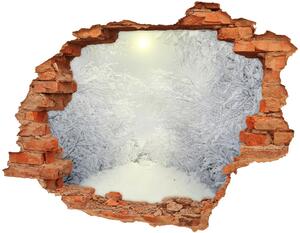 Samolepiaca diera na stenu Krásne zimné les nd-c-103882841