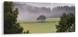 Obraz lúky so stromom (120x50 cm)