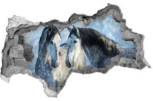 Diera 3D fototapeta nálepka Gray kone v zime nd-b-116887257